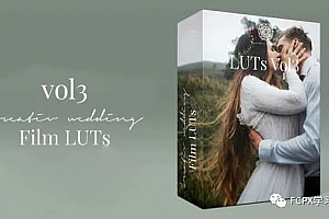 8组欧美风格婚礼LUT调色预设