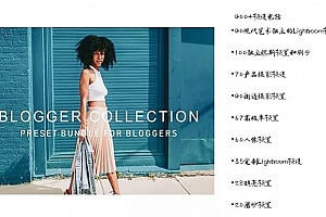 ins风人像街拍MV后期照图片电商调色滤镜PR/PS/AE/LUT预设