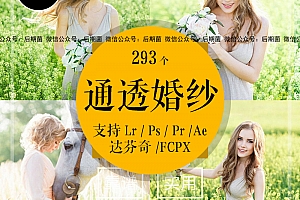 清新通透婚纱滤镜PR/PS/FCPX/达芬奇/AE/LUT预设