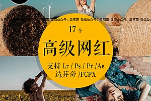 ins网红调色滤镜PR/PS/FCPX/达芬奇/AE/LUT预设