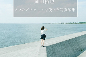 日系小清新INS人像LR预设PR/PS/AE/FCPX/LUT预设