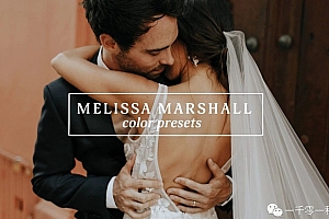 Melissa Marshall 婚礼大片彩色胶片Lightroom预设