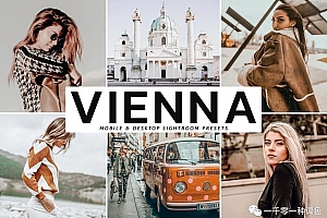 维也纳城市旅拍人像电影色调预设