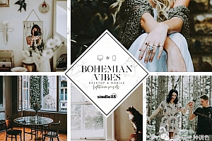 波西米亚INS摄影博主电影胶片色调预设