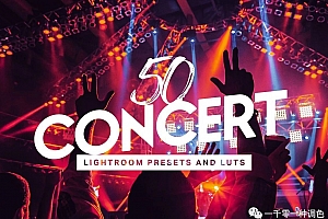 音乐会夜景人像LR预设+LUT预设