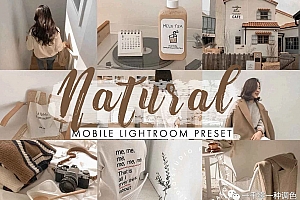 莫兰迪系列灰色系LR预设+移动APP预设