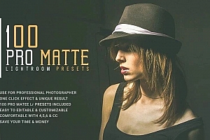 100个专业磨砂效果Lightroom预设