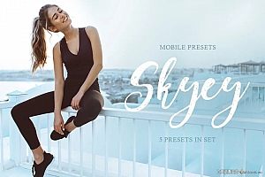 日系清新通透居家旅拍人像预设 刷爆你的朋友圈  支持手机版LR任意版本