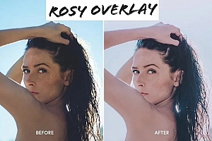 柔和粉红玫瑰色调人像预设+手机版预设  精选1款高级效果