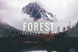 森系摄影风光大片预设  精选5款高级效果