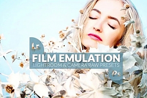 仿真电影胶片人像预设  精选30款高级效果