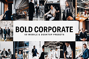 商务人像胶片效果LR预设/视频调色LUT预设PS/PR/AE/FCPX/LUT预设