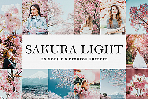 INS风格日系樱花粉色调胶片LR预设+LUT预设