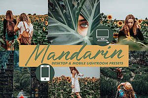 INS风森系电影胶片LR预设/手机修图LR预设