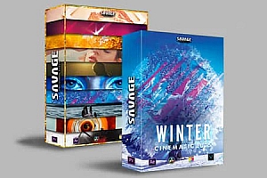 12套150个网红博主创意VLOG旅行季节复古环境人像大片LUTS调色预设