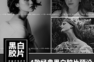经典黑白胶片人像后期调色LR预设