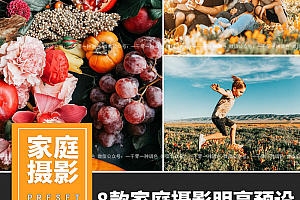 家庭摄影生动明亮色彩LR预设