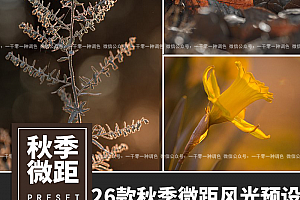 秋季微距风光金色调Lightroom预设