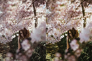 VSCO电影胶片Lightroom预设+手机版lr预设VSCO