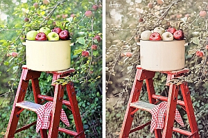 克里斯蒂Cristie情绪人像Lightroom预设+手机版预设