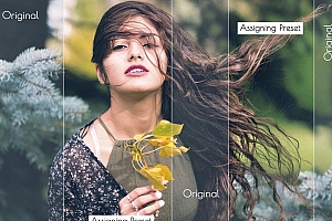 1575个旅游摄影,夏季拍摄,动物,时尚,婚礼等Lightroom预设大合集