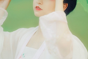 夏弃疾唯美古风汉服人像预设包