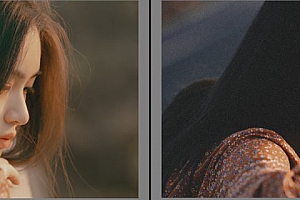 经典复古胶片INS风Lightroom预设