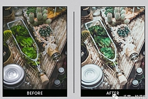 爆款推荐!森系高级电影胶片预设来了!