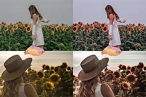 向日葵花田暖调胶片写真人像Lightroom预设