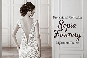深褐色调复古婚礼人像Lightroom预设