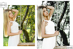 12个INS博主中性灰丛林美人Lightroom预设