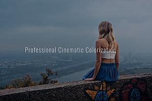 再别说莫兰迪色调平淡了!2022新款莫兰迪灰预设!哪张不是高级感满满的电影大片