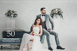50个完美电影婚礼LUTs预设