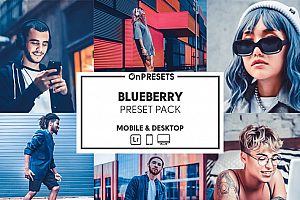 INS风蓝调旅拍人像Lightroom调色预设