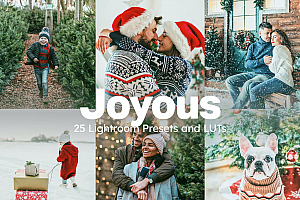 圣诞节冬季人像后期调色Lightroom预设及MV视频调色LUT预设