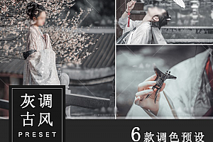 古风汉服唯美古装电影质感灰人像Lightroom预设及LUT预设