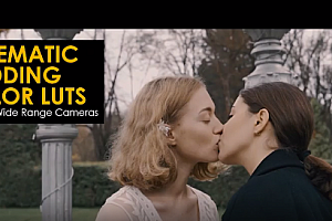 15个电影婚礼MV视频调色LUT预设及42个LOG Rec709格式LUTs预设