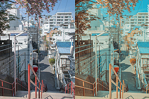 流行清新粉彩人像AI人工智能Lightroom预设及电影调色LUT预设