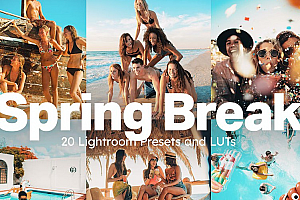 【调色预设】20款夏日海滩派对冲浪旅拍人像AI智能