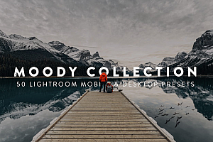 50个旅拍冒险风光情绪电影人像Lightroom预设及电影调色LUT预设