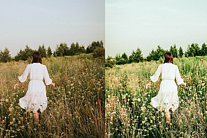 橄榄绿电影色调Lightroom预设