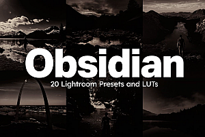 日本电影调色AI人工智能Lightroom预设及电影视频调色LUT预设