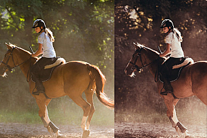 马术骑士电影色彩AI人工智能Lightroom预设及视频调色lut预设