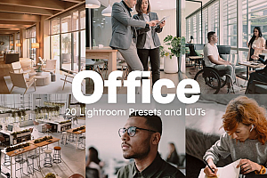 办公室环境胶片人像AI人工智能Lightroom预设及视频调色LUT预设