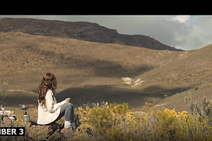 露营森林土褐色电影调色LUT预设