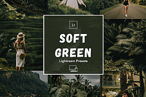 柔和绿色调电影风格Lightroom预设