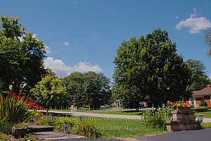【调色预设】1920年代复古老式电影特艺彩色镜头高饱和外观调色预设