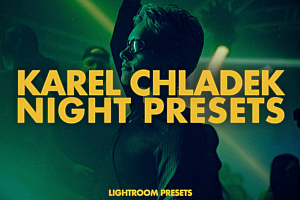 专业演唱会舞台夜景人像LR预